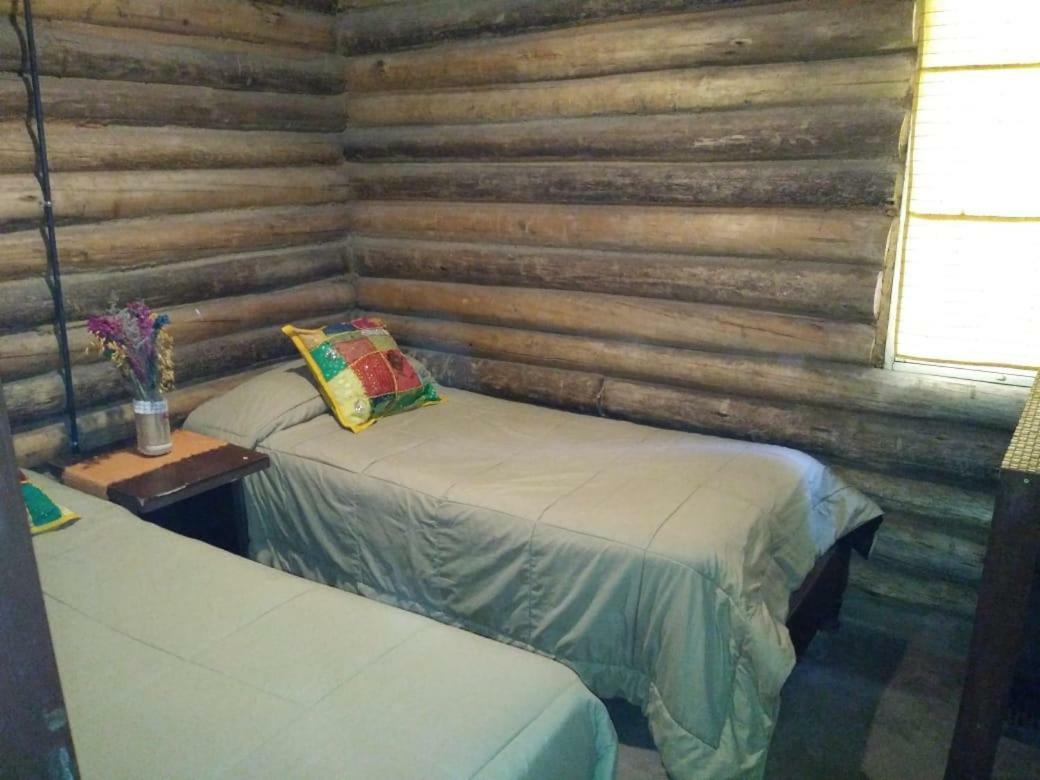 멘도사 Cabanas Alto Bermejo 빌라 외부 사진