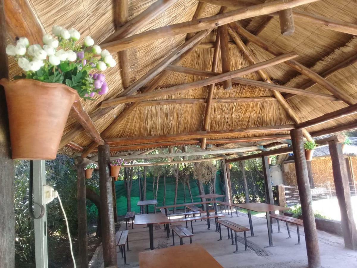 멘도사 Cabanas Alto Bermejo 빌라 외부 사진